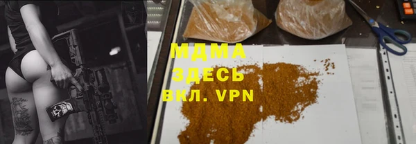 прущие грибы Алзамай