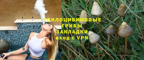 прущие грибы Алзамай