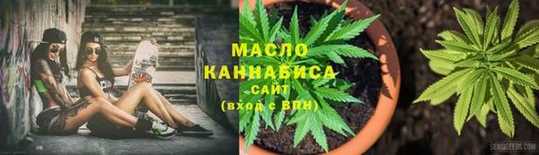 прущие грибы Алзамай