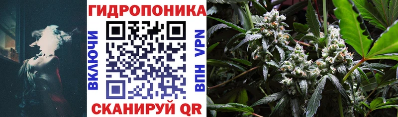 Канабис план блэк спрут онион Апшеронск продажа наркотиков